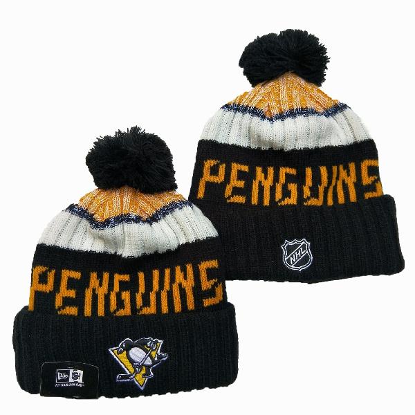Шапка Pittsburgh Penguins 2020