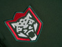 Хоккейные штаны Ак Барс зеленые с надписью