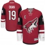 Хоккейный свитер NHL Arizona Doan 2 цвет по выгодной цене.