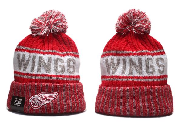 Хоккейная шапка Detroid Red Wings