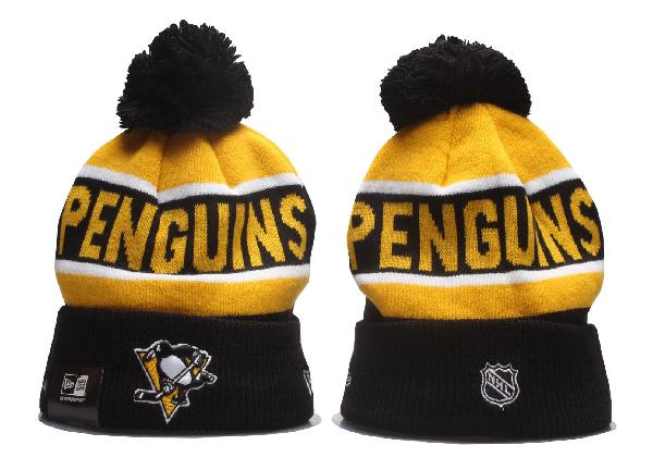 Шапка Pittsburgh Penguins 