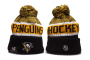 Шапка Pittsburgh Penguins 2022 model 1 по выгодной цене.