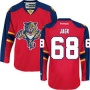 2 ЦВЕТА. Хоккейный свитер до 2017 NHL Florida Panthers  Ягр по выгодной цене.