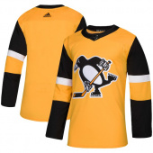 Хоккейный свитер Pittsburgh Penguins пустой stadium series 2017