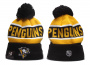 Шапка Pittsburgh Penguins 2023 по выгодной цене.