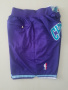 Баскетбольные шорты с карманами Charlotte Hornets